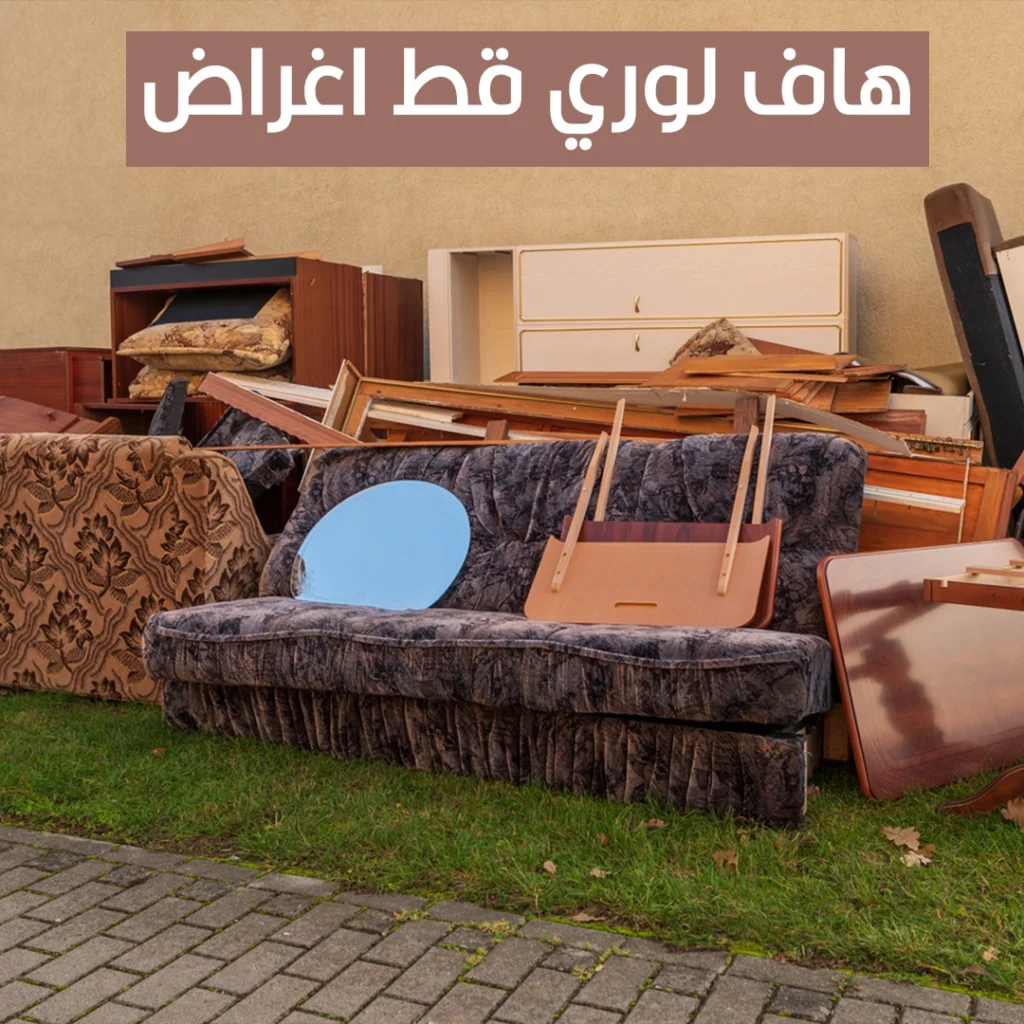 هاف لوري قط اغراض 