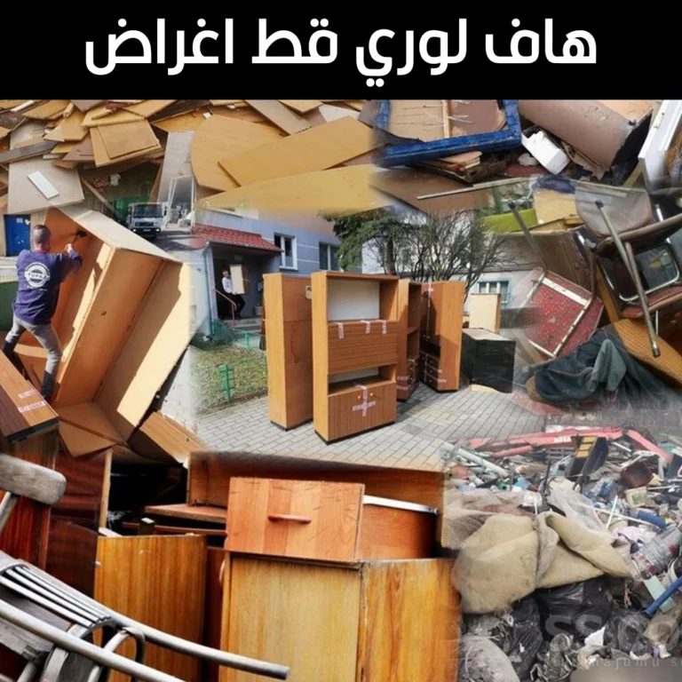 هاف لوري قط اغراض