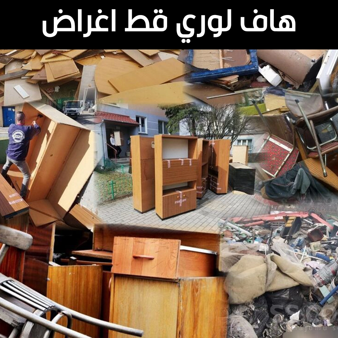 هاف لوري قط اغراض